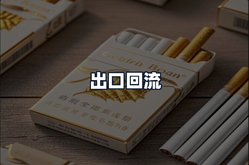 出口回流